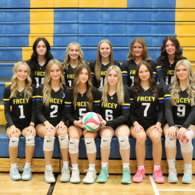 Bev Facey Community Team History: After a rocky start to the season, the girls came back strong in the latter part of the season, earning them a berth at provincials. Bev Facey Community High School is very proud of this group of girls. Go Falcons!